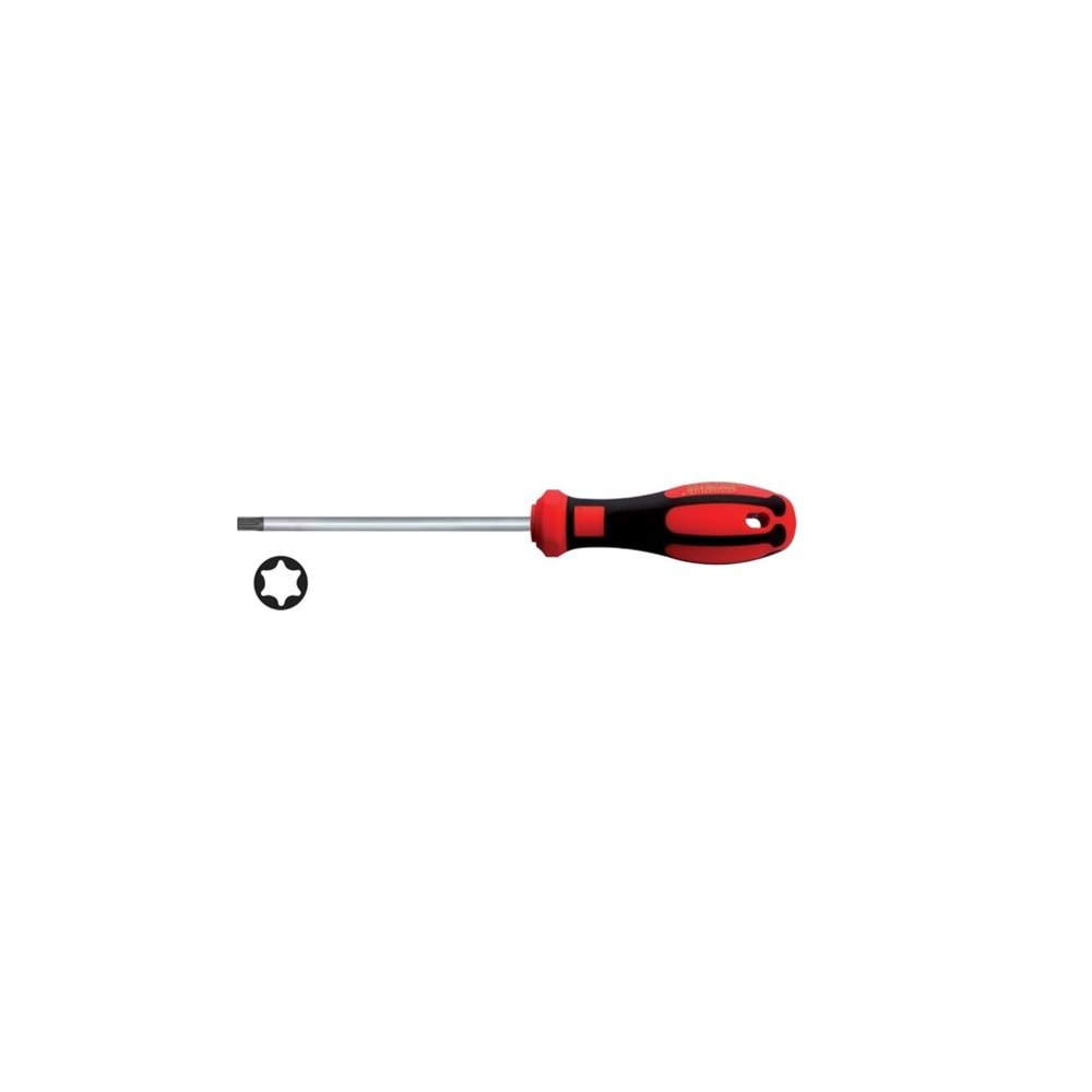 TORNAVİDA TORX T45 F18-045-130 CF